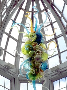 Chihuly_conserv_7850