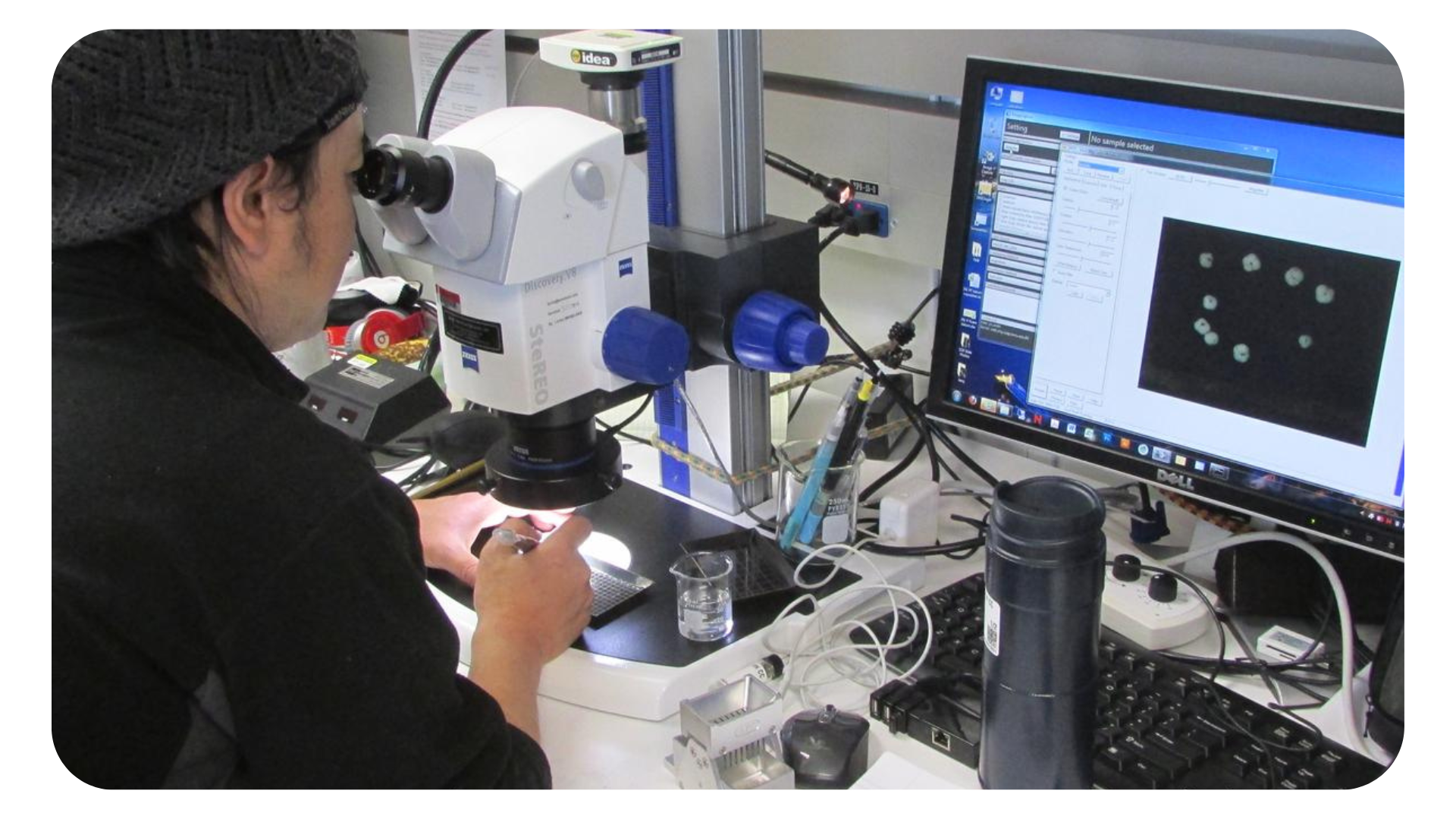 Earth Labs_Analyzing Sediment Cores