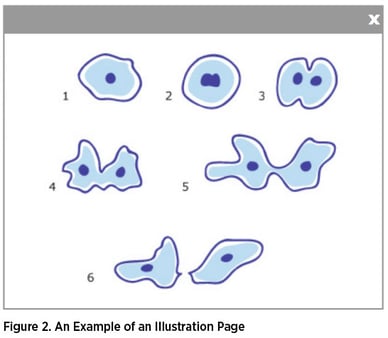 SBD-Figure-2