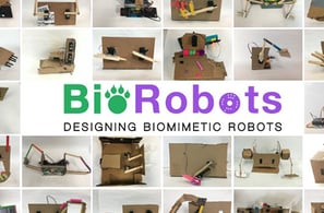 biorobots_products_featuredimage
