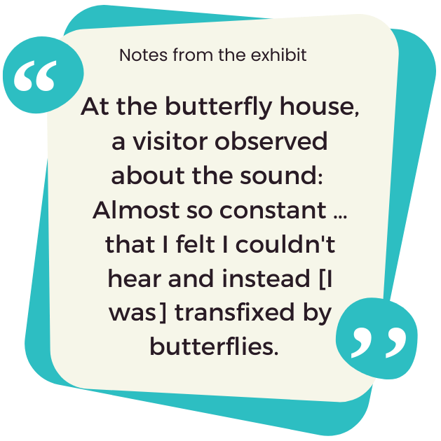 butterflyHouse